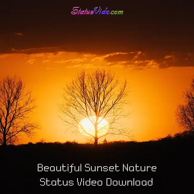 Beautiful Sunset Nature Status Video Download